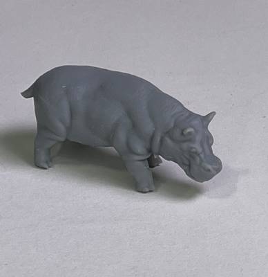 Hippopotamus